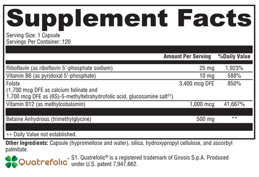 Methyl Protect 120 supplement facts