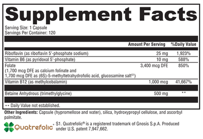 Methyl Protect 120 supplement facts